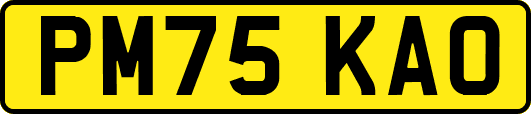 PM75KAO