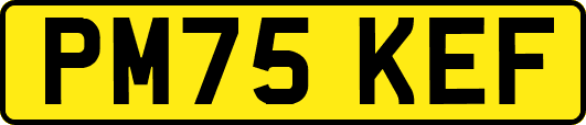 PM75KEF