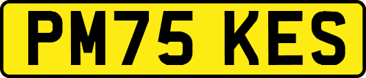 PM75KES