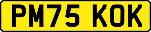 PM75KOK