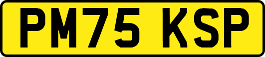 PM75KSP