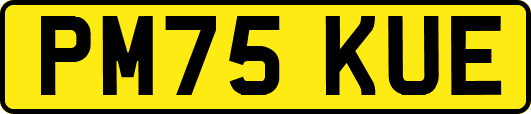 PM75KUE