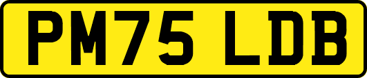 PM75LDB