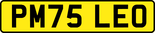 PM75LEO