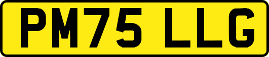 PM75LLG