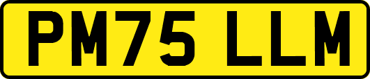 PM75LLM
