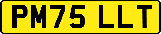 PM75LLT