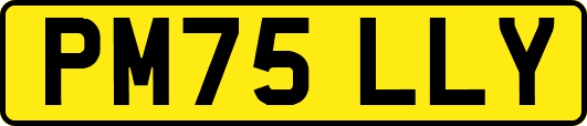 PM75LLY