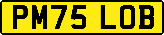 PM75LOB