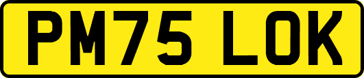 PM75LOK