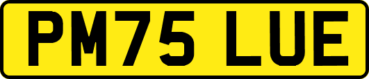 PM75LUE