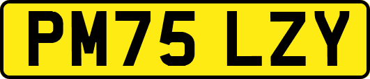 PM75LZY