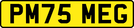 PM75MEG