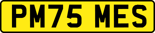PM75MES