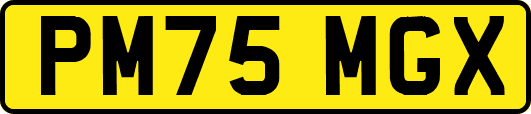 PM75MGX