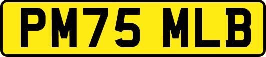 PM75MLB
