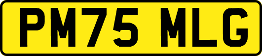 PM75MLG