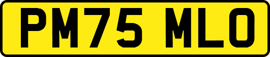 PM75MLO