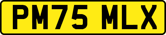 PM75MLX
