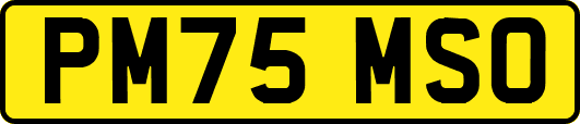 PM75MSO