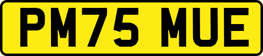 PM75MUE