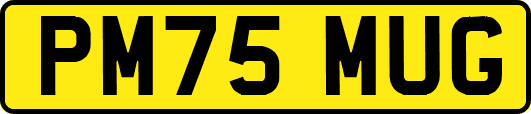 PM75MUG