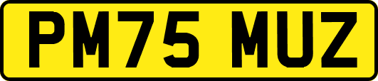 PM75MUZ