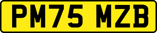 PM75MZB