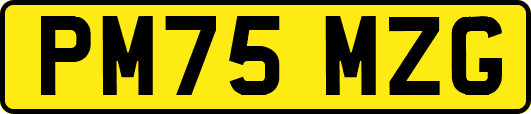 PM75MZG