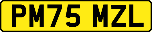 PM75MZL