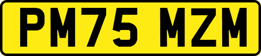 PM75MZM