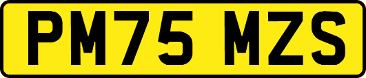 PM75MZS