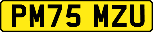PM75MZU