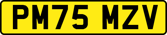 PM75MZV