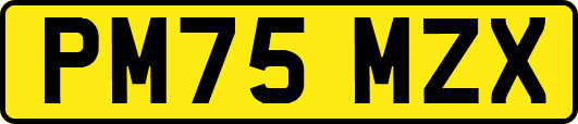 PM75MZX