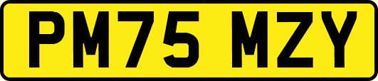 PM75MZY