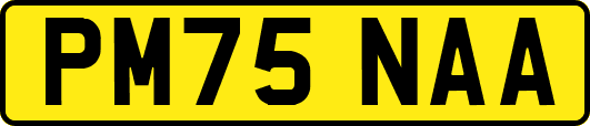 PM75NAA
