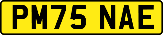 PM75NAE
