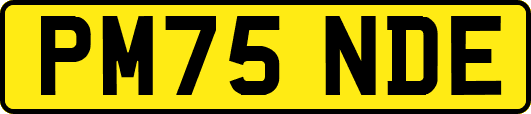 PM75NDE