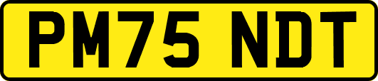 PM75NDT
