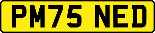 PM75NED