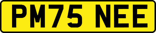 PM75NEE