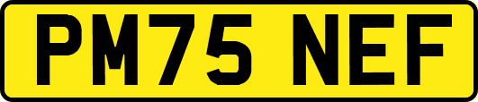 PM75NEF