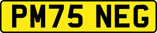 PM75NEG