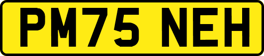PM75NEH