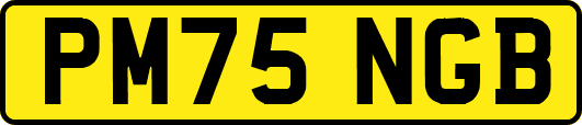 PM75NGB