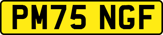 PM75NGF