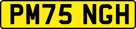 PM75NGH
