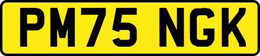 PM75NGK