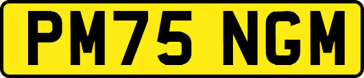 PM75NGM